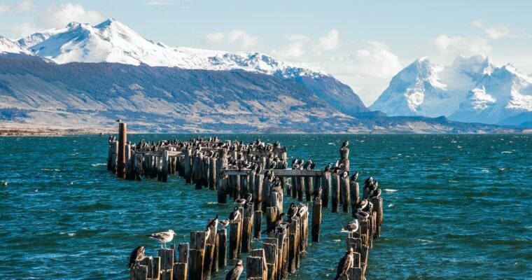 Descubre las maravillas del Puerto principal de Chile: Historia, atracciones y mucho más