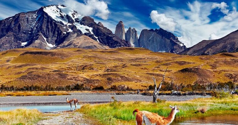 Explora la belleza natural de Torres del Paine, el Parque Nacional más espectacular de Chile